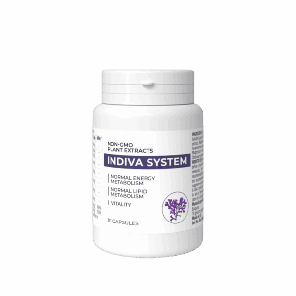 InDiva System – Image 3